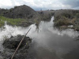 перехреначенные дренажные трубки и перепаханные дренажные каналы газпромовцами