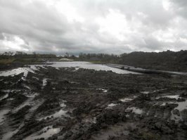 перехреначенные дренажные трубки и перепаханные дренажные каналы газпромовцами
