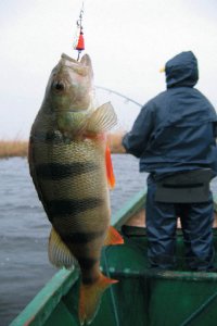 От Моны Лизы до статуи Свободы: какие же они на самом деле маленькие!