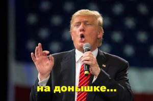 Ждун, "потому что у меня лапки" и другие самые популярные мемы 2017 года