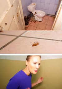 таракан похоже от диареи умер.