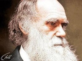 Некоторые люди точно произошли от обезьян!