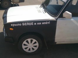 Автовсячина