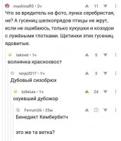 Торин Дубощит ))