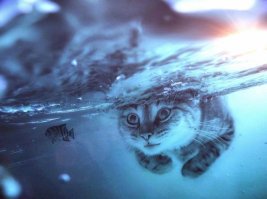 Это похоже на натуральное фото. Рыбка то же не особо смущает, с масштабами всё нормально. Даже наоборот классно, плывущий кот. :)