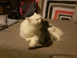 Это счастливый папаша))