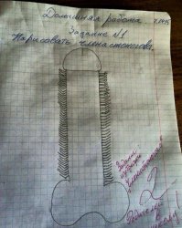 Смешные ответы школьников, до которых взрослые бы не додумались