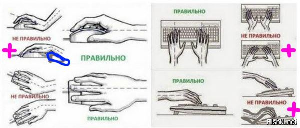 Мужики, не верьте пи***сам! Правильная эргономика - это та, которую пометил лиловыми плюсами. Обратите внимание на положение руки с мышкой - она изгибается в самом естественном виде + полностью лежит на подушечке (синюю дорисовал). Т.е. пол-предплечья и запястье лежат на мягком и работает только кисть.
Справа (при наборе) руки должны опираться запястьями о стол, а кисти выгнуты естественным образом вдоль предплечья. Т.к. большинство из вас набирает 4-пальцевым методом (левый указательный, правый большой,указательный,средний), то такое положение кистей НИКАК не влияет на метод набора, зато сохранит ваши руки.