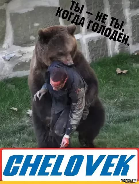 Убежать от медведя невозможно