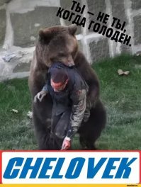 Убежать от медведя невозможно