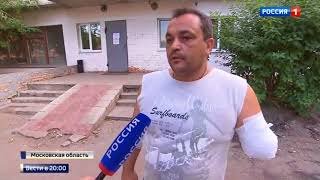 Реакция  аллигатора на очки 