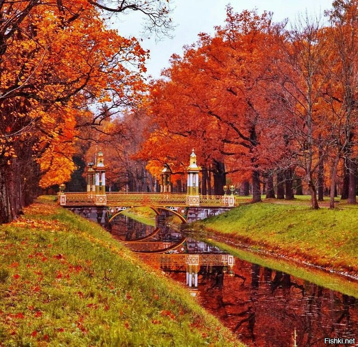 Яркие краски осени