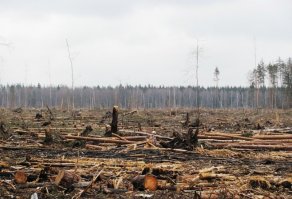 Любое препятствие высотой от 60-80 сантиметров (зависит от модели вездехода), ну и по уклону градусов так 45 не пройдёт не вдоль, не поперёк, да просто даже на таком склоне не остановится (только если на брюхо ляжет). И по лесным вырубкам не пойдёт, всю "юбку" порвёт.
