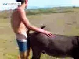 У некоторых прокатывает