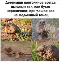 напомнило)