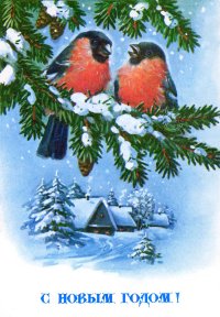 Обожала новогодние открытки со снегирями