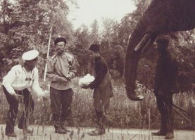 "Маловато будет".
