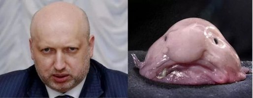 Темная сторона матери-природы