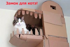 На что только люди не идут, чтобы задобрить своё божество