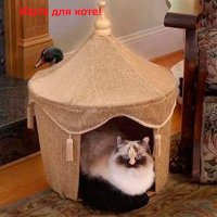 На что только люди не идут, чтобы задобрить своё божество