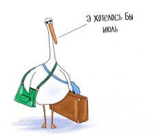 Прикольные высказывания, цитаты, СМС-ки с просторов интернета