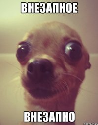 А может правительство просто боится вооружить гражданское население?