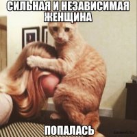 Муж или кот? Выбор очевиден