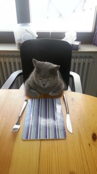 Дон Котэрлионе