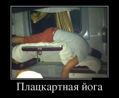 16 доказательств того, что пьяный человек может уснуть где угодно