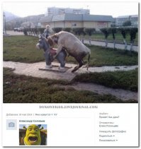Смешные комментарии из социальных сетей