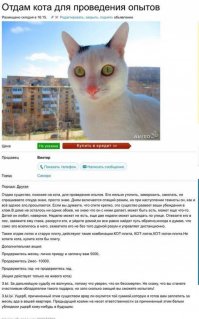 Частные объявления на Фишках