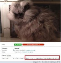 Частные объявления на Фишках