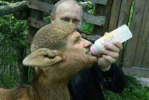 Что может покорить сердце Путина?