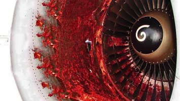 Это фото не от птицы. Это все что осталось от человека стоявшего возле двигателя когда его завели. Есть и другие фото.