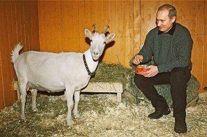 Не совсем полный пост у вас батенька..