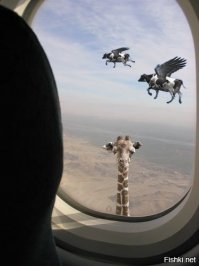 Господа! Не удержался