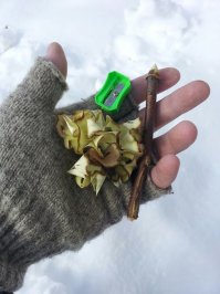 Походно-дачные лайфхаки: все, чтобы отдых на природе был радостью, а не испытанием