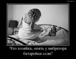 Эти коты - уже почти люди!