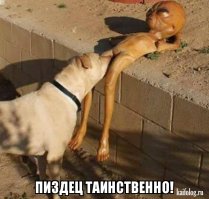 В Антарктиде появилась огромная дыра, и никто не знает причину