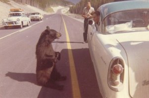 ЛОЖЬ! Это не СССР. Это США или Канада.