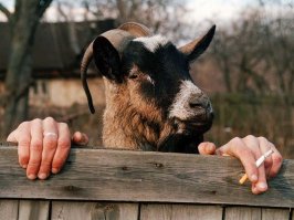 Прикольные фотомемы, которые вызовут улыбку