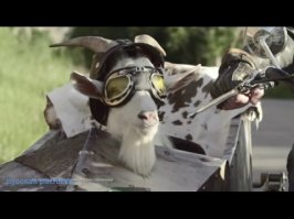 Прикольные фотомемы, которые вызовут улыбку