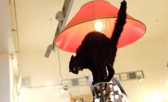 Странные русские 