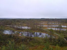 Очень красиво... Будете в Эстонии - сходите... Наши фотки... От Таллина 63 км...