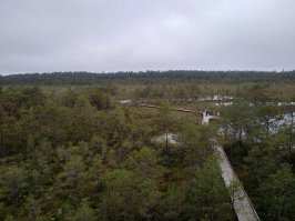 Очень красиво... Будете в Эстонии - сходите... Наши фотки... От Таллина 63 км...