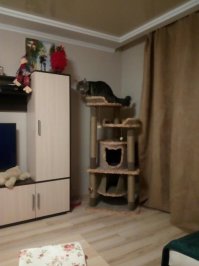 задумка интересная, мы нашему котейке купили гогтеточку, а он как драл когти о коврик под дверь, так и продолжает драть
