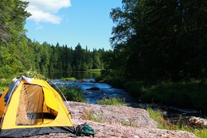 В Карелии болота этим летом не хуже, а отпуск точно лучше;) и людей...никого на десятки километров:) (Нюхча)