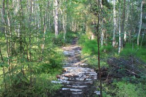 В Карелии болота этим летом не хуже, а отпуск точно лучше;) и людей...никого на десятки километров:) (Нюхча)