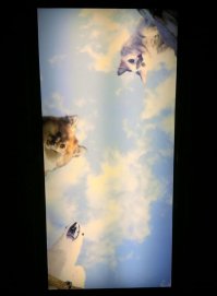 Врачи с чувством юмора: 30 забавных шуток стоматологов