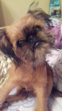 А это наш бабайка.